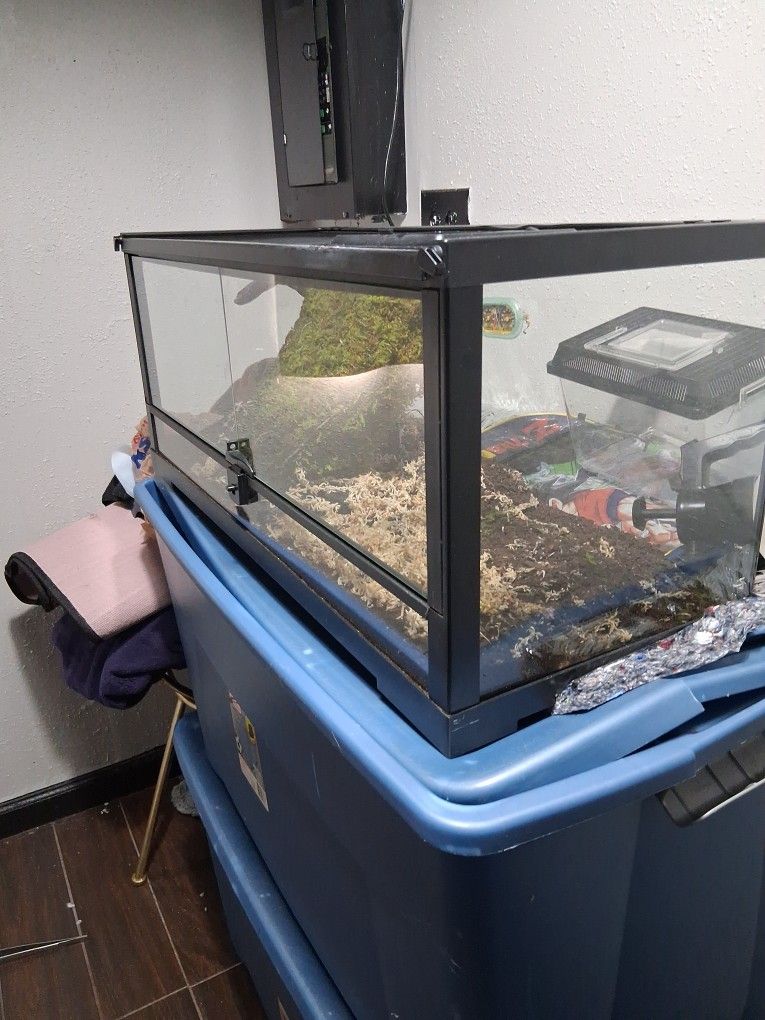 30 Gallon Tank 