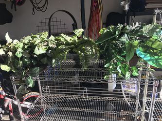 Decorative fake plants