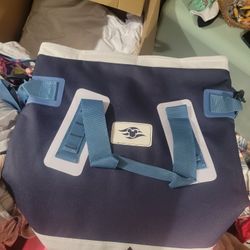 Disney Cooler