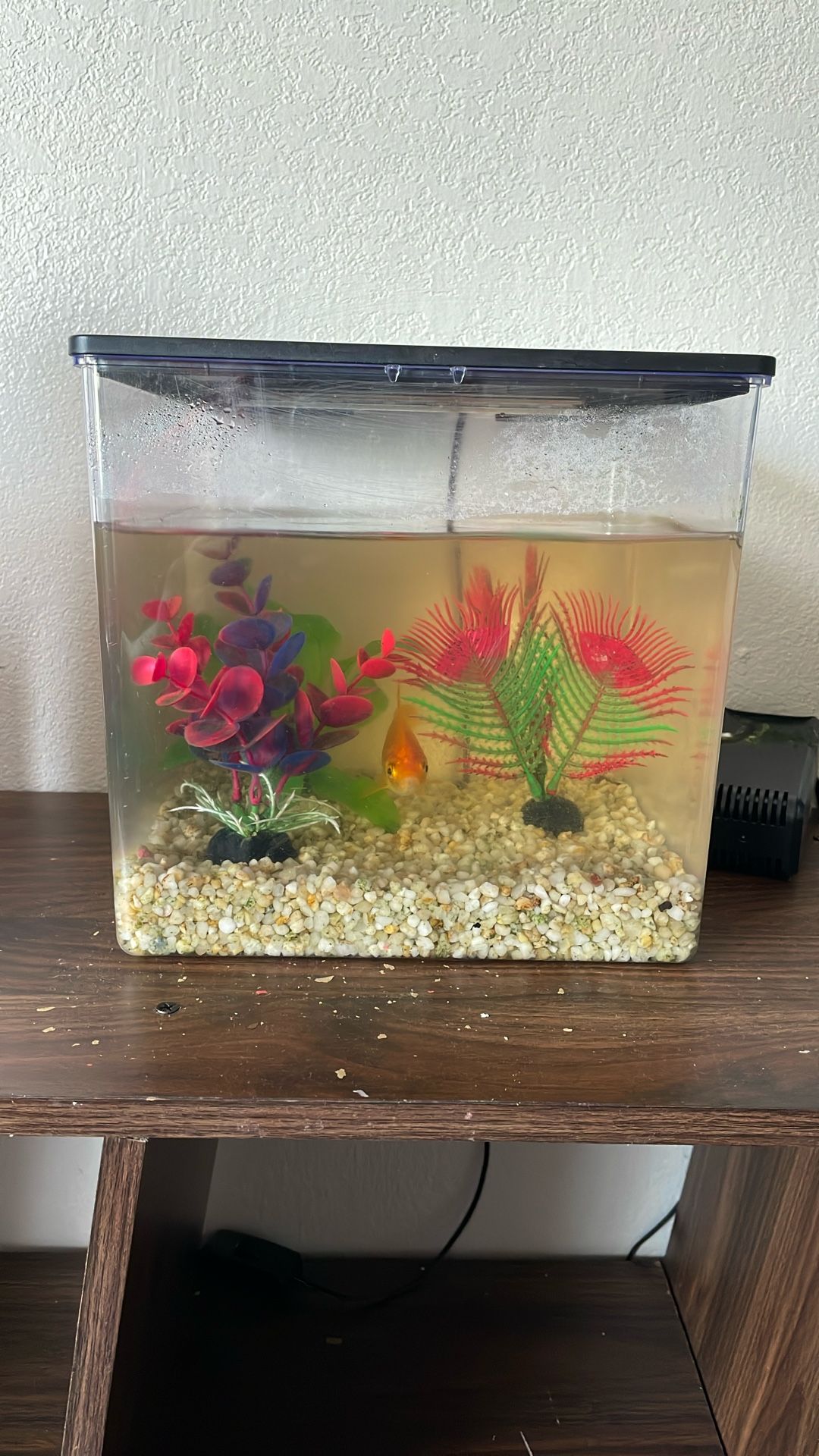 Fish Tank