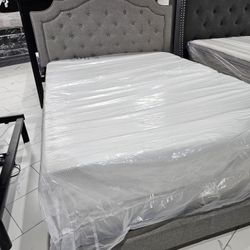Queen Sizes Bed With Mattress 