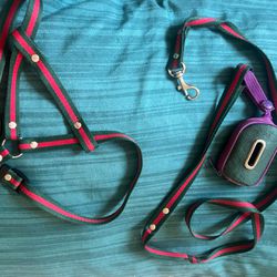 dog collar and leash 