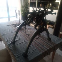 Saris Bike Rack