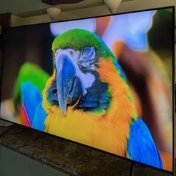 TCL 65 PULGADAS CLASS 6-SERIES 4K UHD DOLBY VISION HDR ROKU SMART TV - 65R615