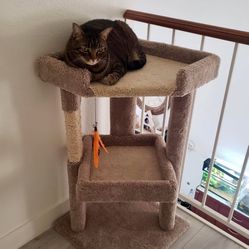 Elite Custom Cat Trees In Facebook 