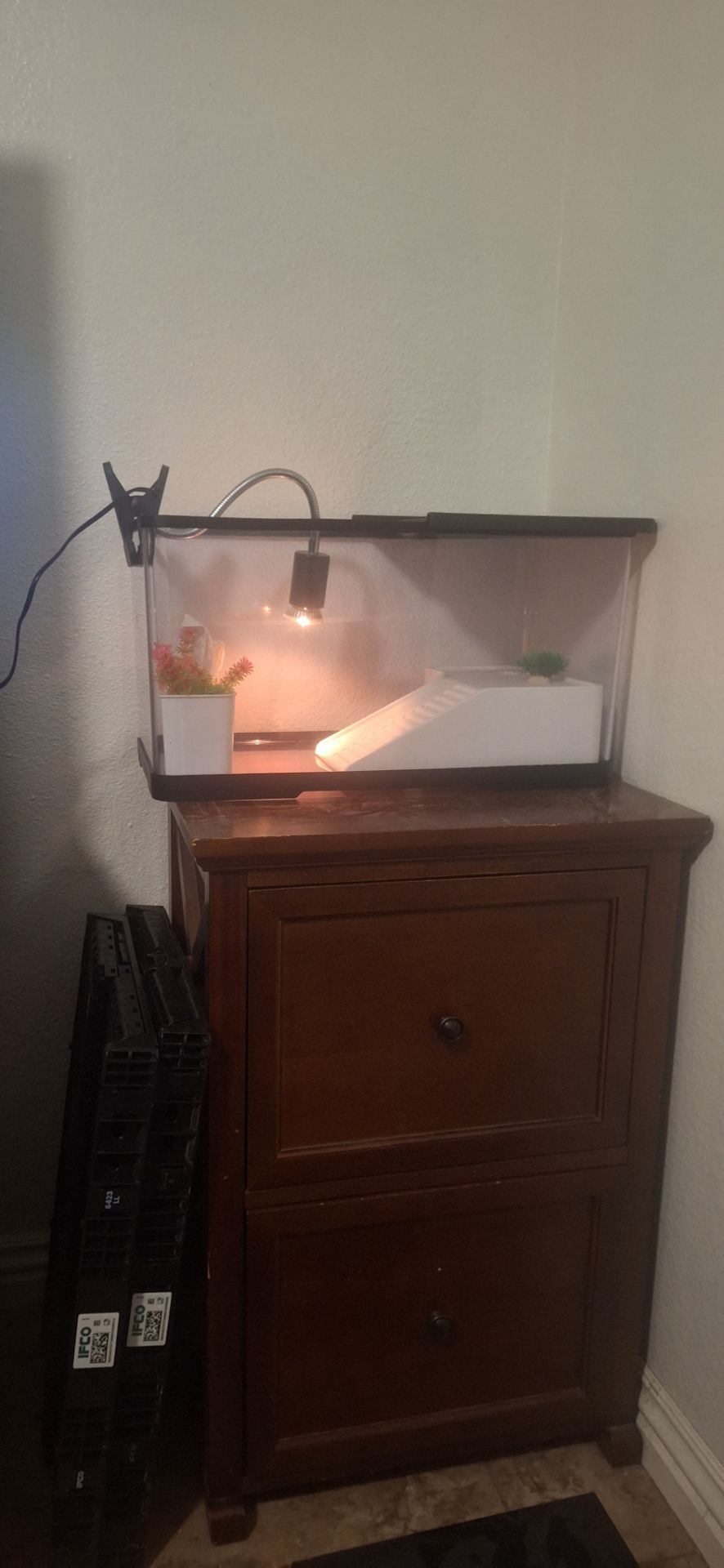 Turtle aquarium