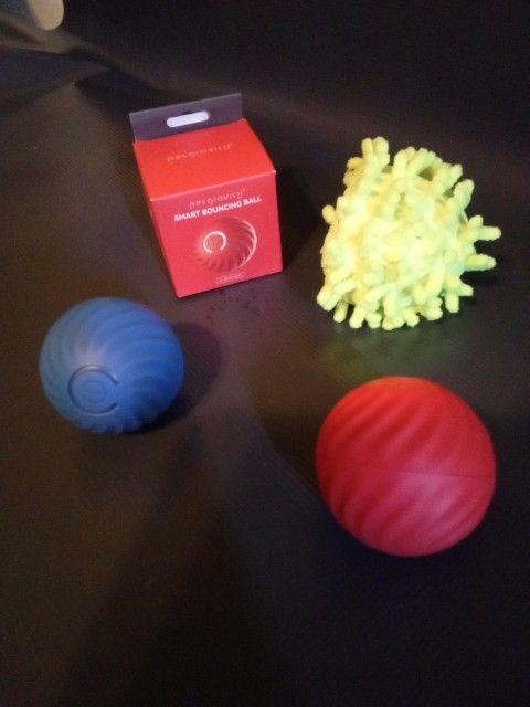 Smart Bouncing Ball for Dogs โ Brand New