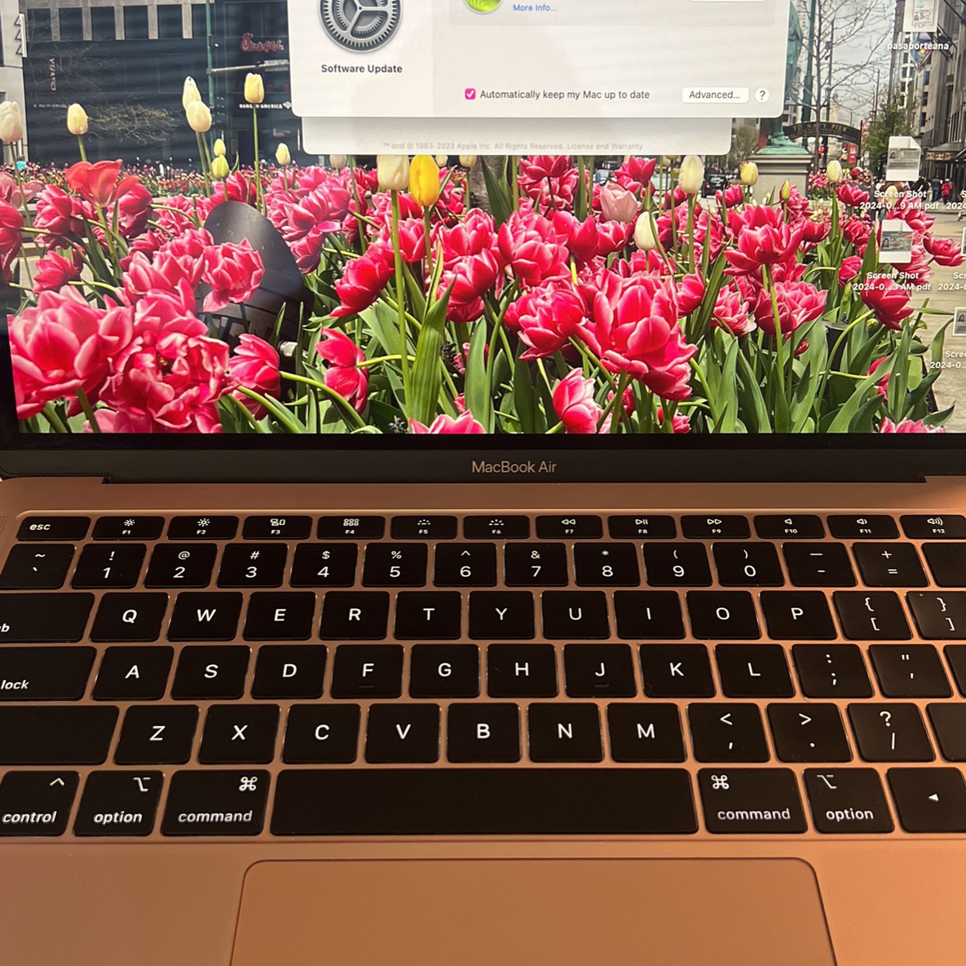 Like New 2019 MacBook Air  💻 No Scratches