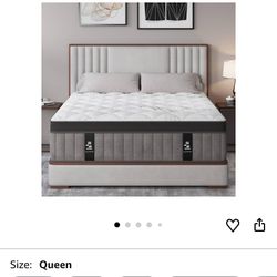 Queen Mattress 