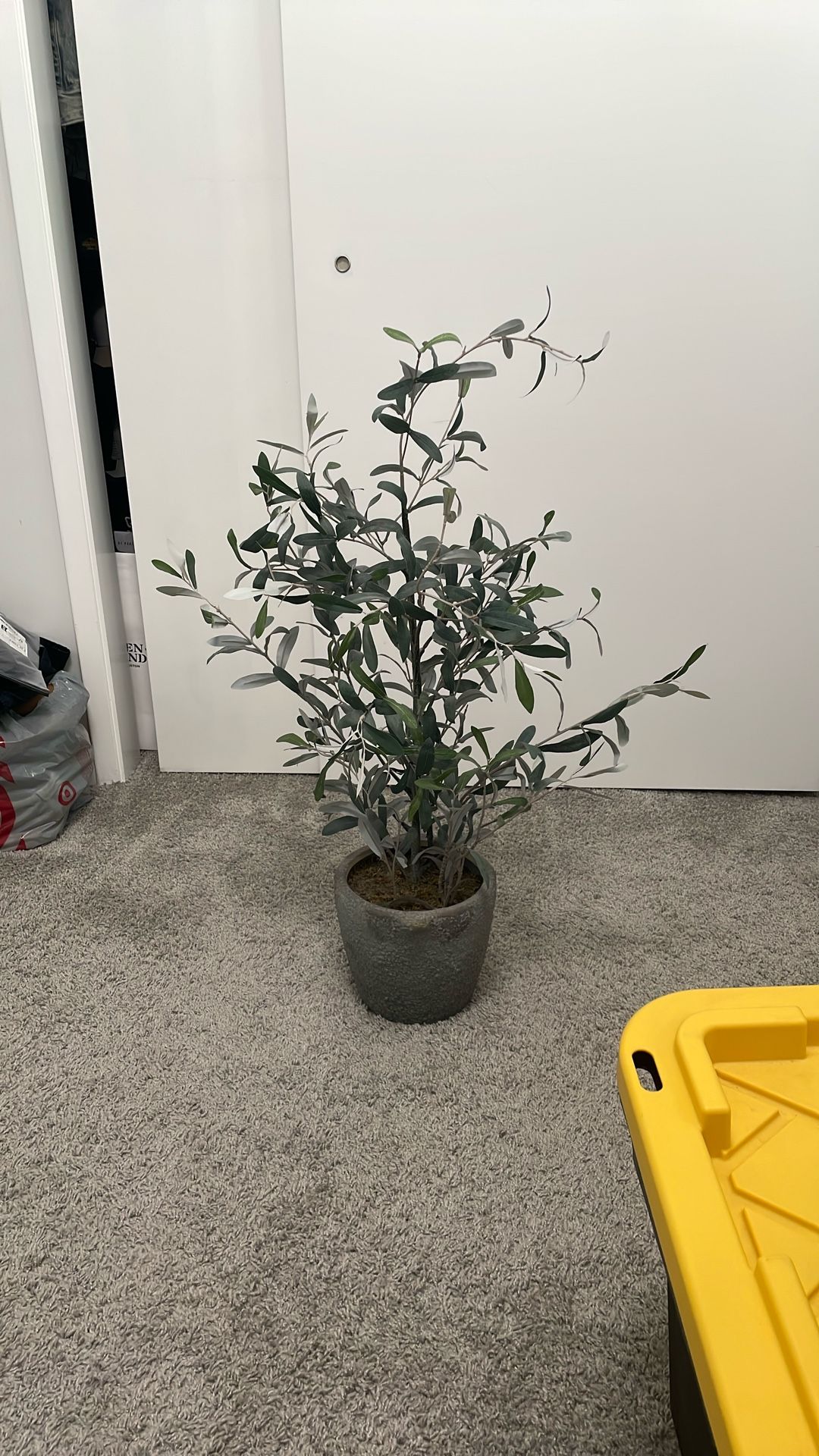 Artificial Olive Bush Tree In Pot From Target Threshold Studio McGee 37”