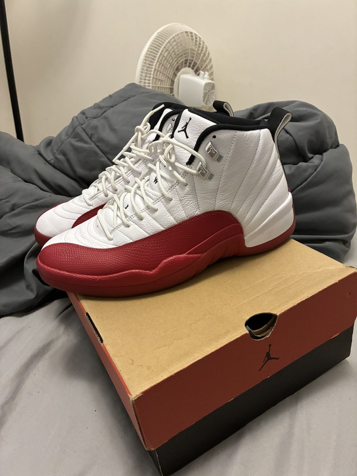 Jordan12