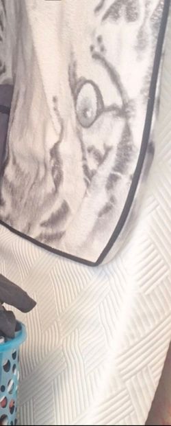 Twin Memory Foam Mattress