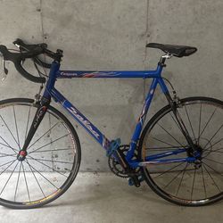 Salsa Road Racing Bike Bicycle Custom Ultra Light