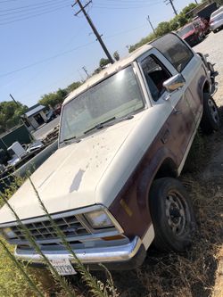 Bronco 2