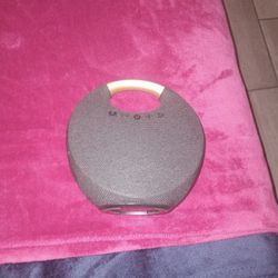 Speaker 