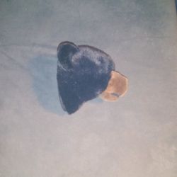 Black Bear Plush Mini Troph