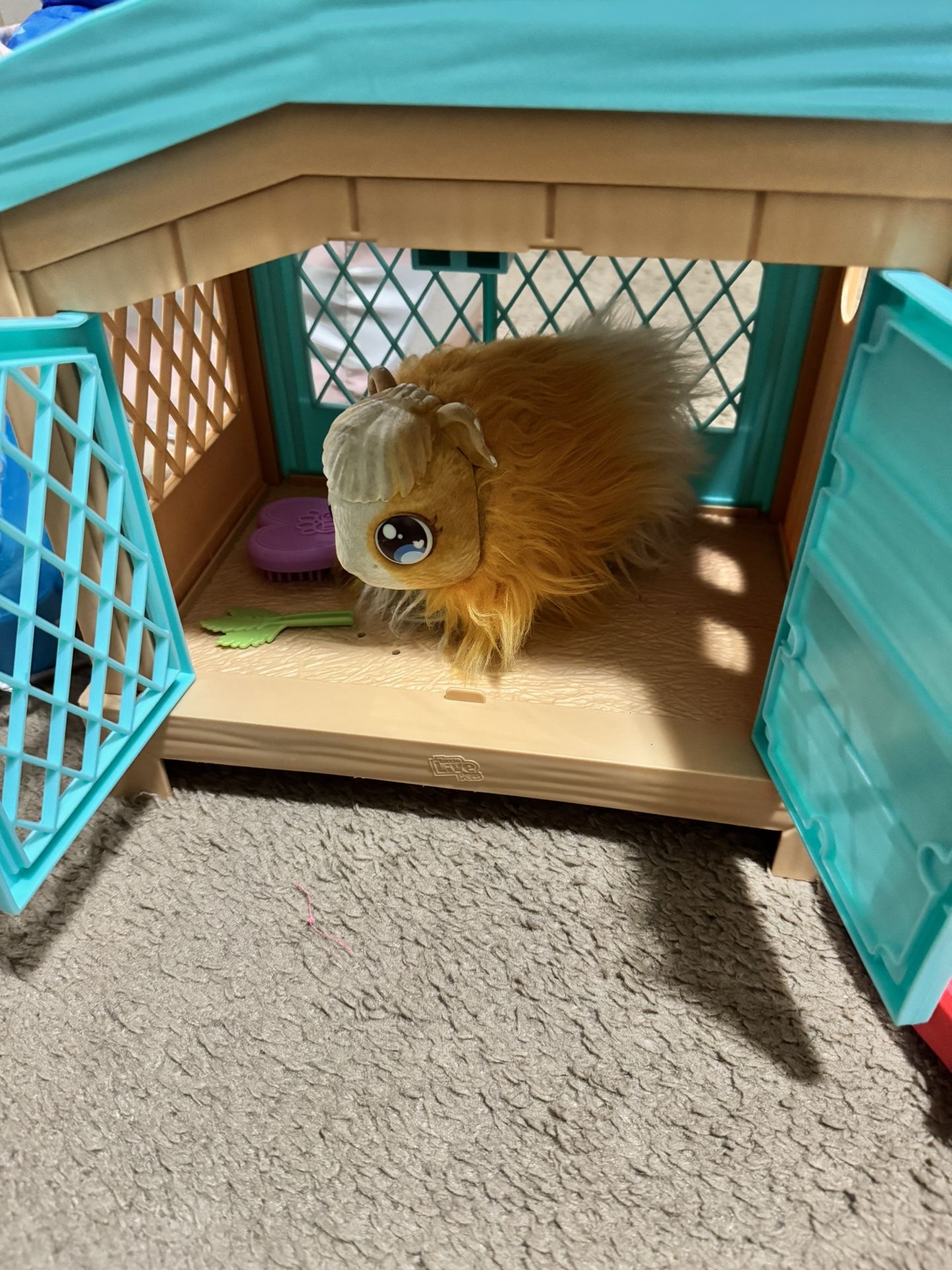 Little Live Pets Guinea Pig Toy