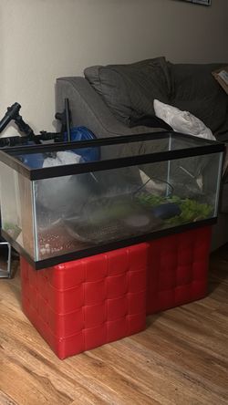 40 gallons fish tank