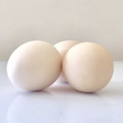 Chicken silkies Eggs