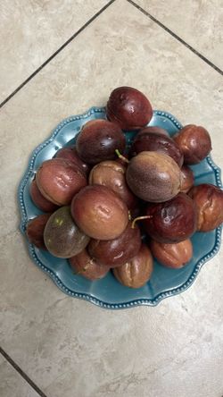 Passion fruit -$1.00 each