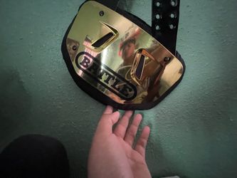 Back plate gold new