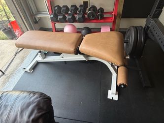 PMX commercial adjustable bench