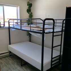 Twin Bedframe and Memory Foam Mattress