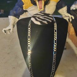 Sterling Silver Plated Chain 89122 Area 24"