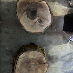 Walnut Wood Rounds