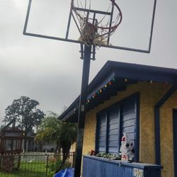 Basket Ball Court (No Backboard)