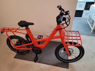 Luxury Electric Bike - REI Co-op E-Bike