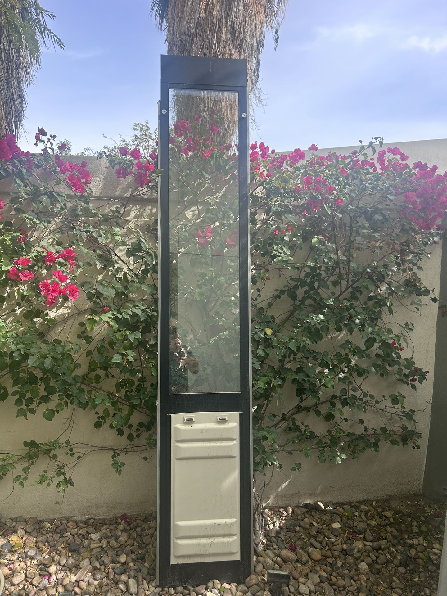 Doggie Door