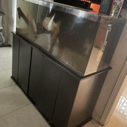60 Gal Aquarium 