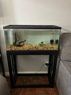 20 gallon long with stand