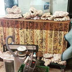 Salt Water Tank 