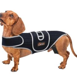 Dog Back Brace Post-Surgery Support & Arthritis Relief Vet-Recommended  LARGE