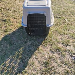 Dog Kennel 