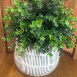 Artificial Plant $18.00