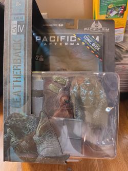 Pacific rim