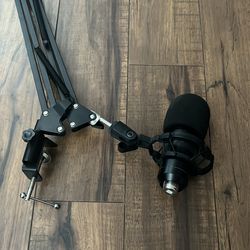 Microphone & Stand (finicky cord)