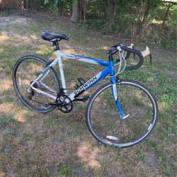 Schwinn volare 1300 sale men's 700c road bike