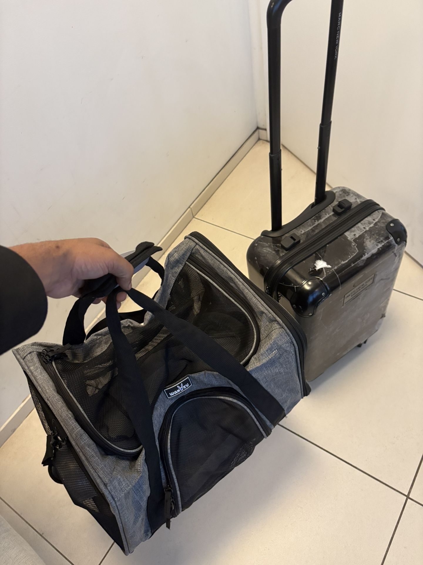 Small Dog/cat Carrier With Small Suitcase