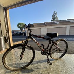 Mountain/Road Bike
