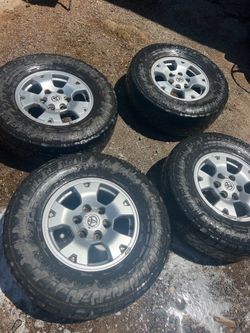 Tacoma stocks