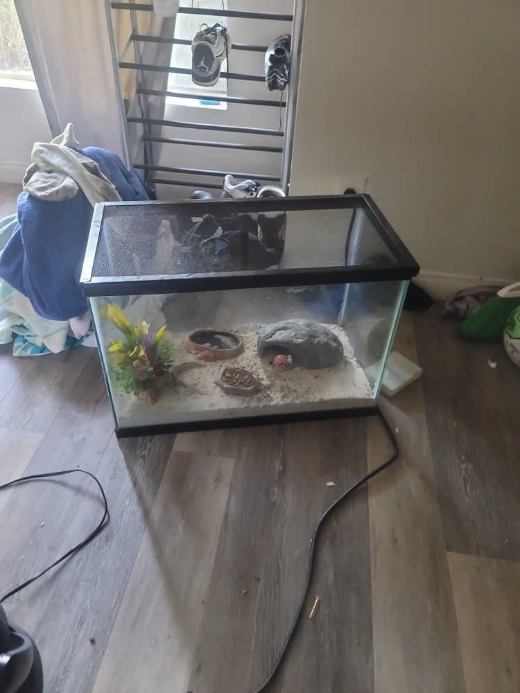 24 Inches Tank