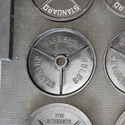 45lb Plates (Pair)