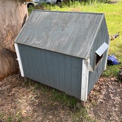 Chicken  Coop