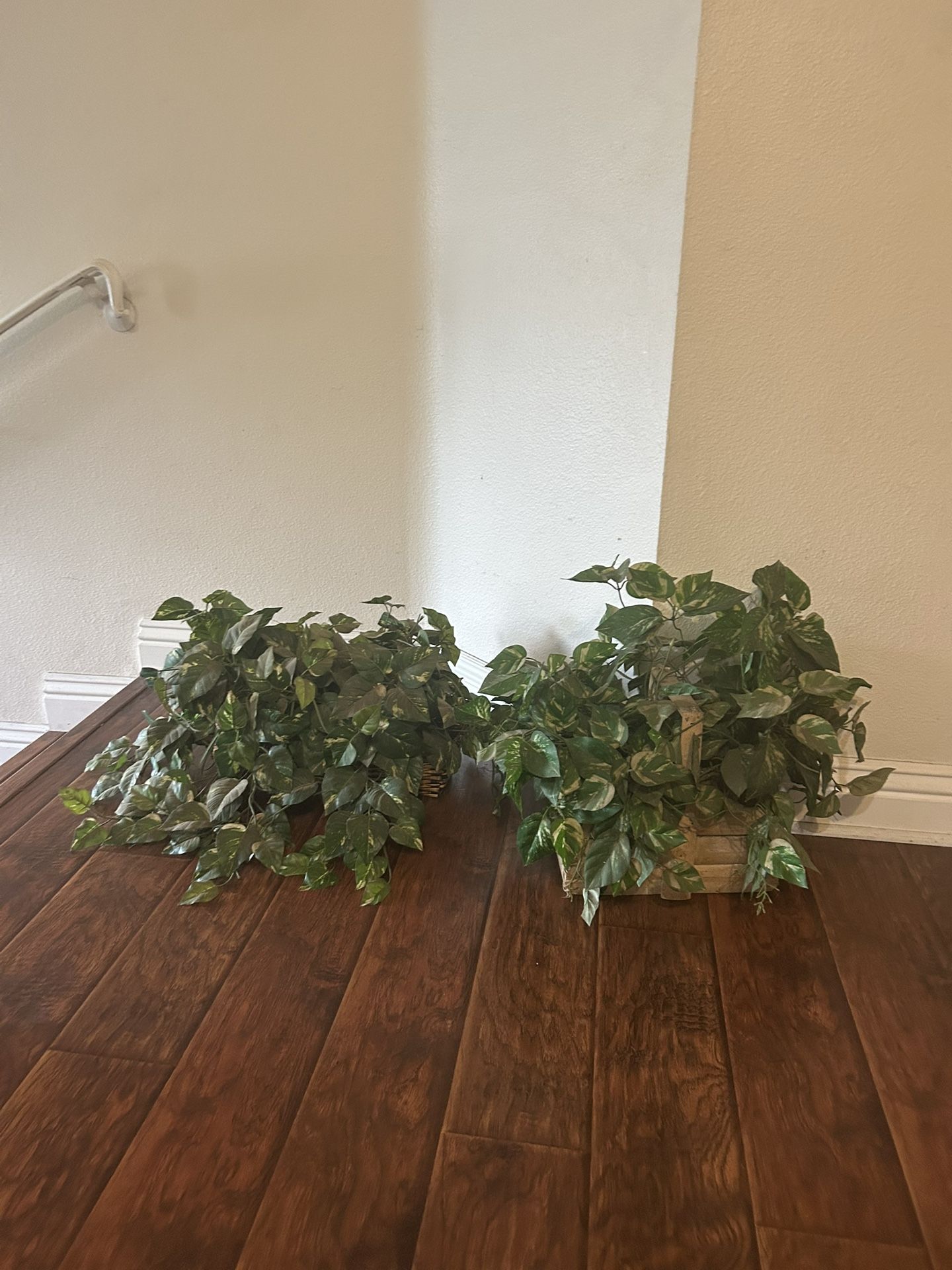 2 Artificial Plants