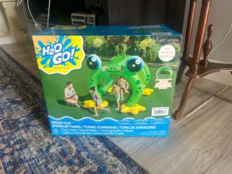 H2O Go Froggy Fun