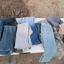 Pants